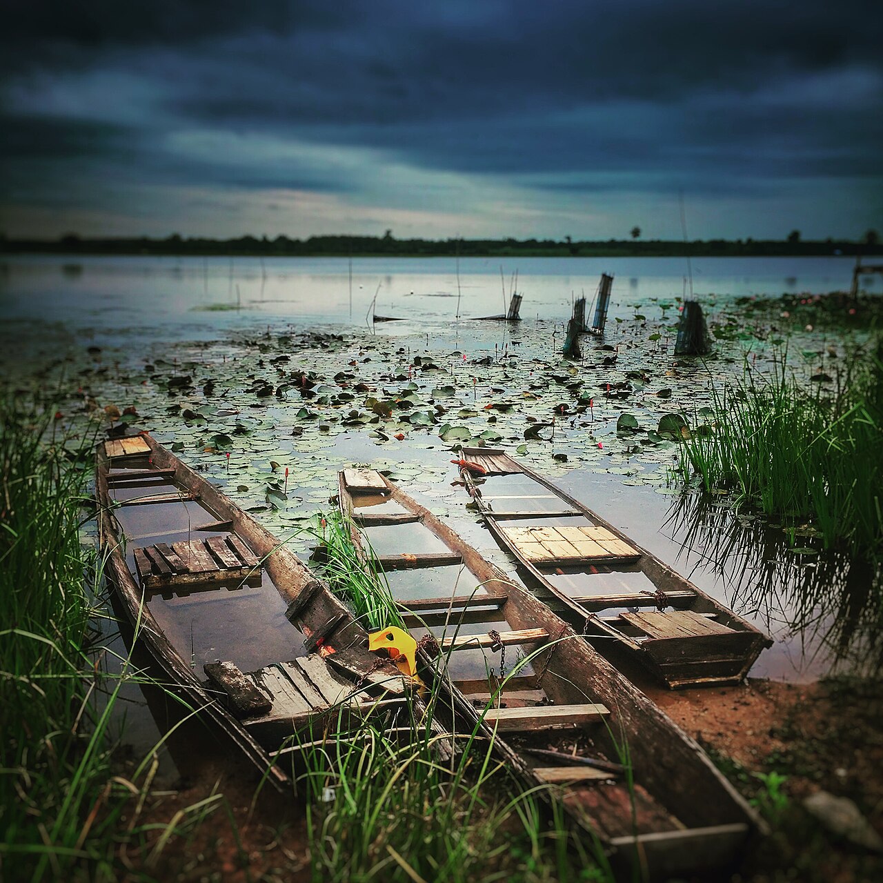 บึงโขงหลง จังหวัดบึงกาฬ — ภาพถ่ายสถานที่จริง