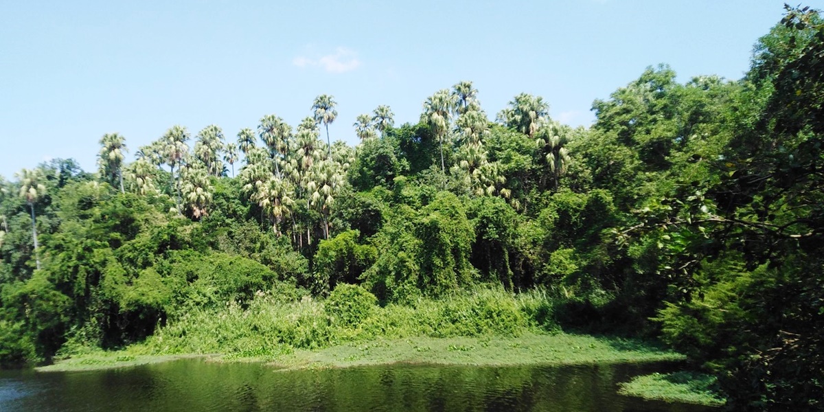 คำชะโนด วัดศิริสุทโธ จังหวัดอุดรธานี — ภาพถ่ายสถานที่จริง